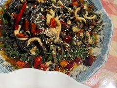 刺五加呛毛肚-绿草墩