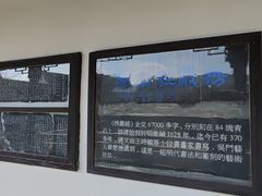 -司徒庙