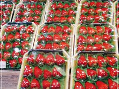 -果蔬好生活超市(乐堤港店)