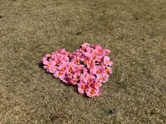 -杭州植物园