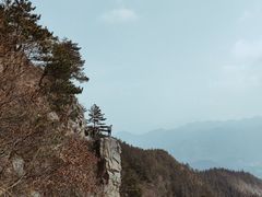 -横岗山森林公园