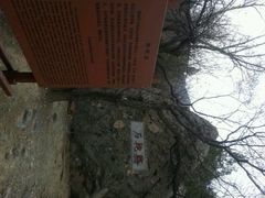 android_upload_pic-阳台山自然风景区