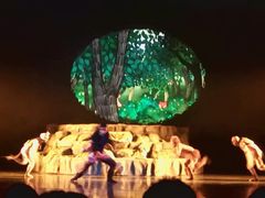 -厦门方特梦幻王国