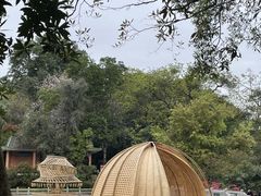 -广州市白云山风景名胜区