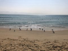 -海云台海滩