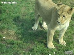 -西安秦岭野生动物园