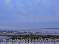 -南汇新城海滩