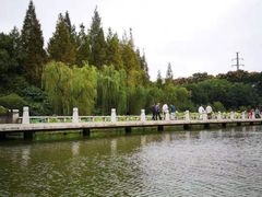 -荆川公园