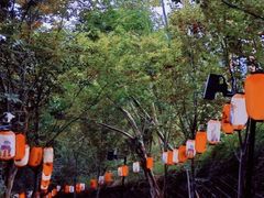 -丰都鬼城名山景区