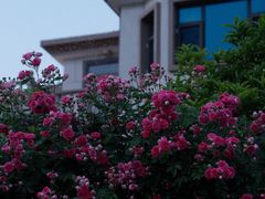 -游子山休闲旅游区