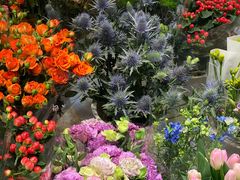-双季花艺园艺市场(浦东店)