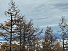-富士山吉田線五合目
