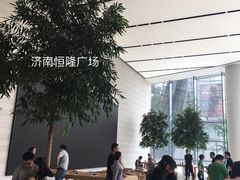 -Apple零售店(济南恒隆广场店)