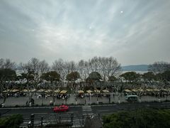 -杭州君悦酒店
