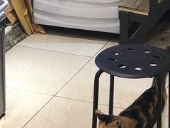 -甜心闲生传统手工冰粉(太古里店)
