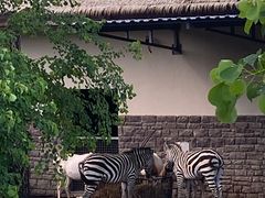 -上方山森林动物世界