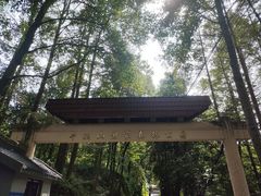 -午潮山国家森林公园