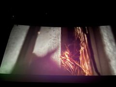 -百美汇影城(LUXE嘉里中心店)