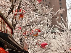 -回龙窝历史文化街区