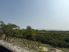 -北海金海湾红树林生态旅游区