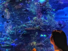 -迪拜帆船酒店海底餐厅