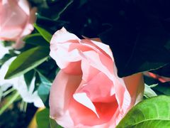 -菜香源·醉湖美宴(杨家坪店)