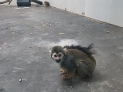 -西安秦岭野生动物园