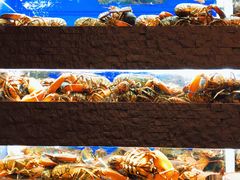 -鱼乐轩海鲜专门店