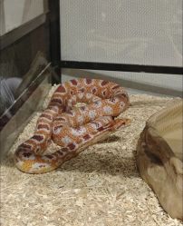 -Zoolung Zoolung动物主题公园(海信广场店)