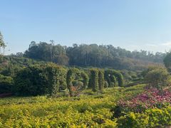 -东莞植物园