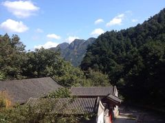 半山腰的四合院-小慧大桃观光采摘园
