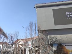 -斯普瑞斯奥特莱斯