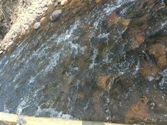 -九曲溪竹筏码头