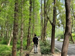 -同里国家湿地公园