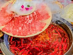 -蜀大侠火锅(总府路店)