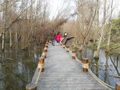 -桤木河湿地公园