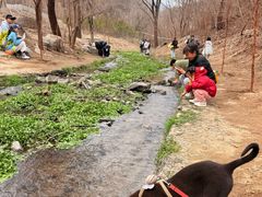-白水寺森林公园