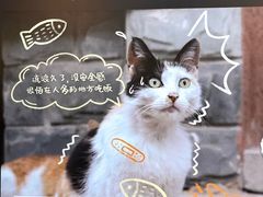 -公园前(地铁站)
