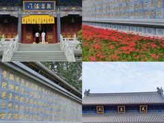 -西安大兴善寺