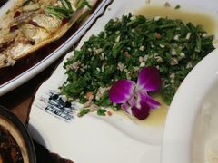 -印象江南(东栅店)