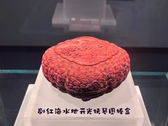 -广西壮族自治区博物馆