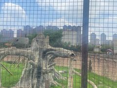 -南昌动物园