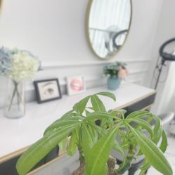 -韩美绣·骨相纹眉·洗眉美瞳线