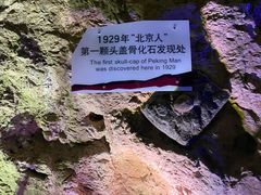 -周口店北京人遗址公园