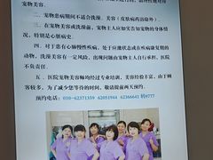 -北京观赏动物医院·24小时大型综合·猫专科·异宠专科