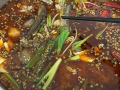 胖泥鳅-邱氏胖泥鳅(大堰店)