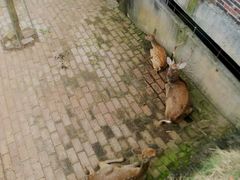 -田园寨农园观光园