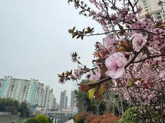 -苏州河梦清园环保主题公园