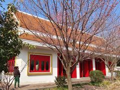 -洛阳白马寺