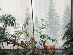 -双湖宴·湖北菜(文化路店)
